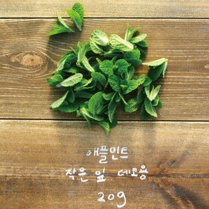 유기농 애플민트 생잎 작은 잎 20g/데코용