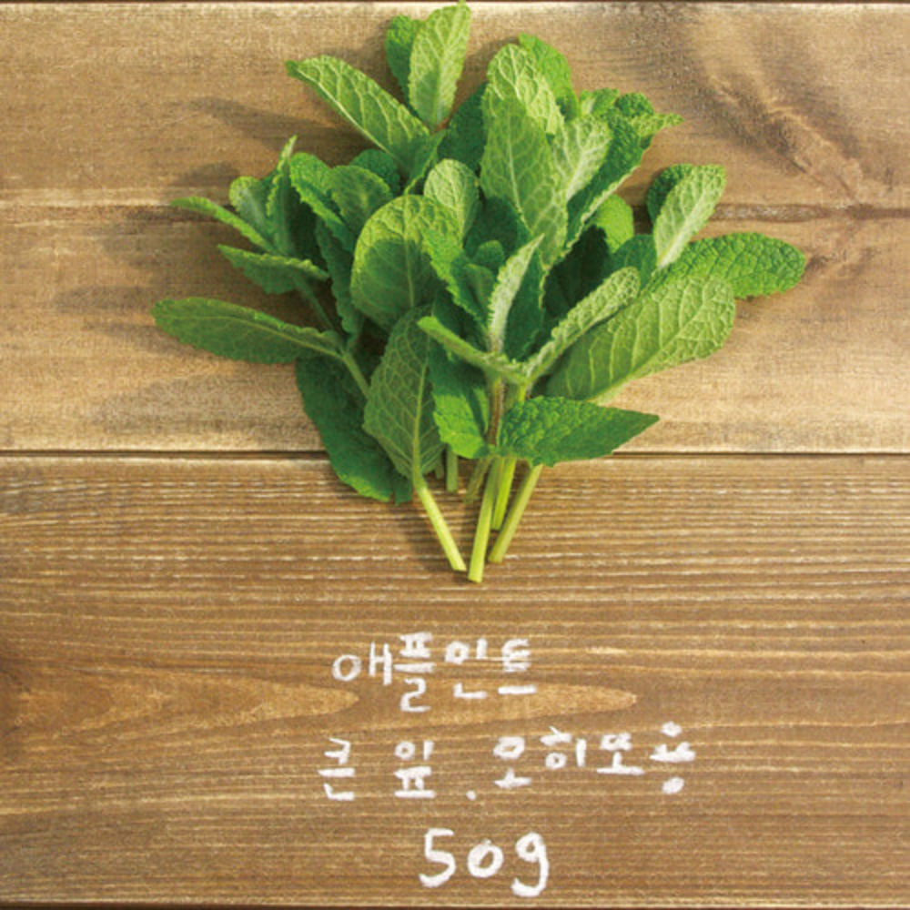 유기농 애플민트 생잎 큰 잎 50g/모히또용